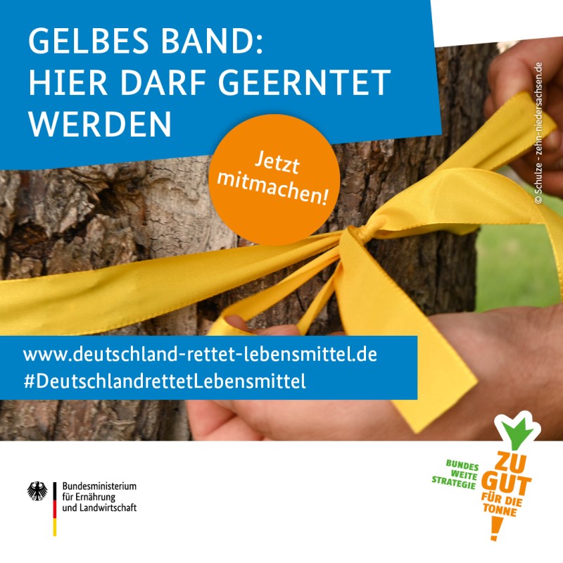 Werbeplakat zur Aktion Gelbes Band. Ein in Schleife gebundenes Band an einem Baumstamm ist auf dem Bild zu sehen.