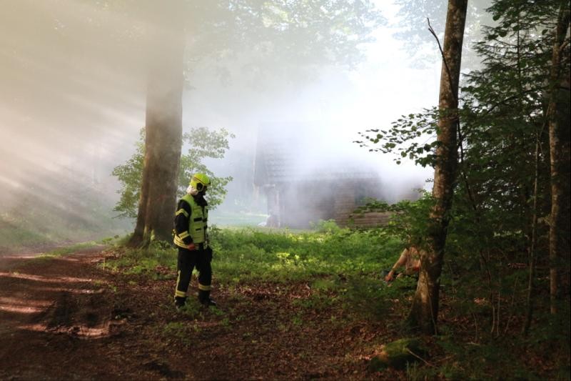 Eine Person in Schutzkleidung in einem nebligen Waldstück