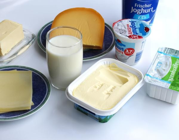 Teller und Becherbehältnisse mit Butter, Käseaufschnitt, Käsestück, Joghurt, Quark, Streichfett und ein Glas  Milch