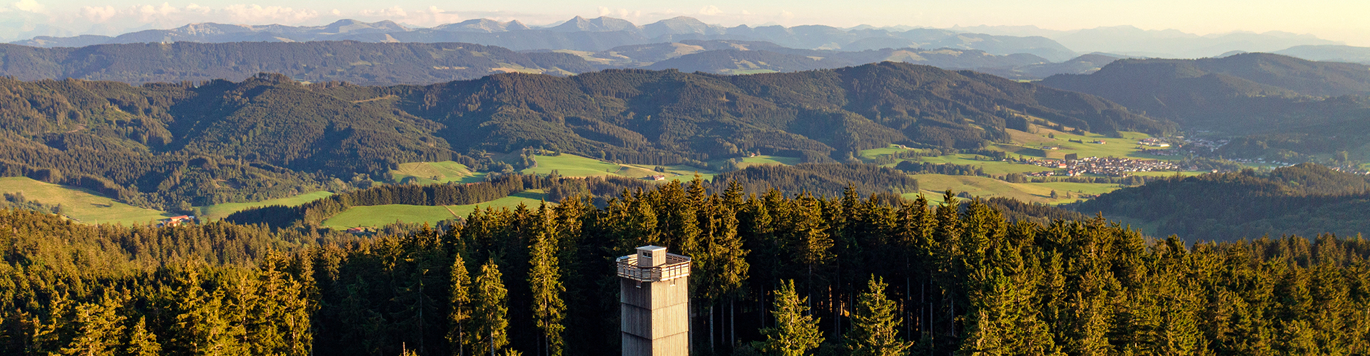 Turm auf einem bewaldeten Hügel bei klarer Wetterlage